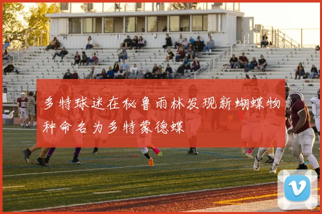 多特球迷在秘鲁雨林发现新蝴蝶物种命名为多特蒙德蝶